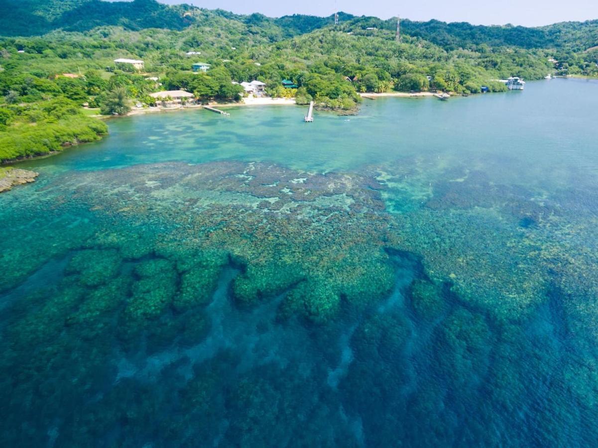 Vivaro Roatan Beachfront Villa West End Exterior photo